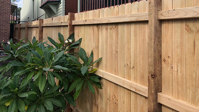 Treated pine paling fence